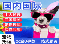 栎社空运国际宠物托运 【国